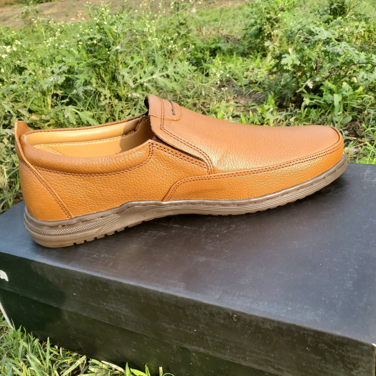 Cascade Mustard Light