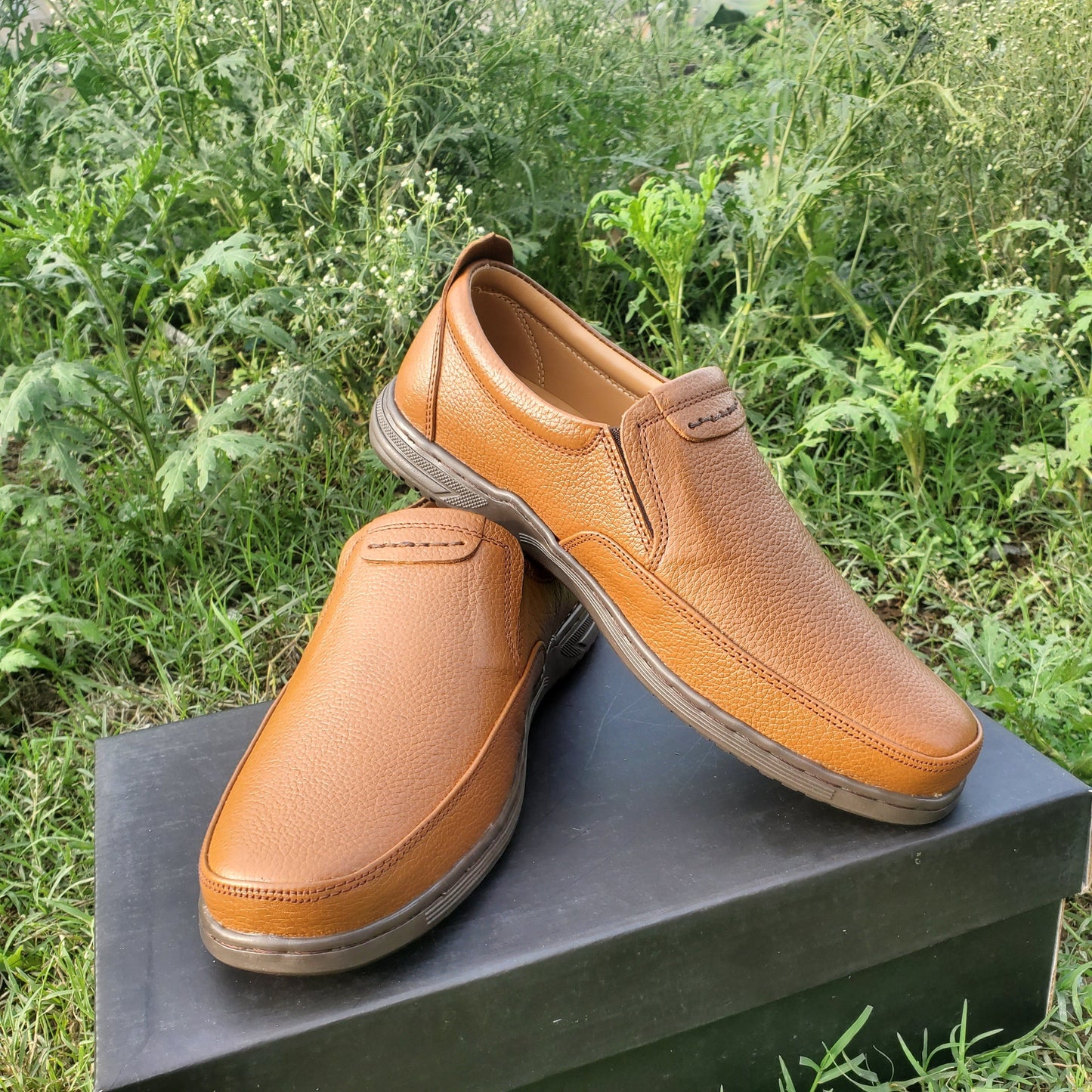 Cascade Mustard Light
