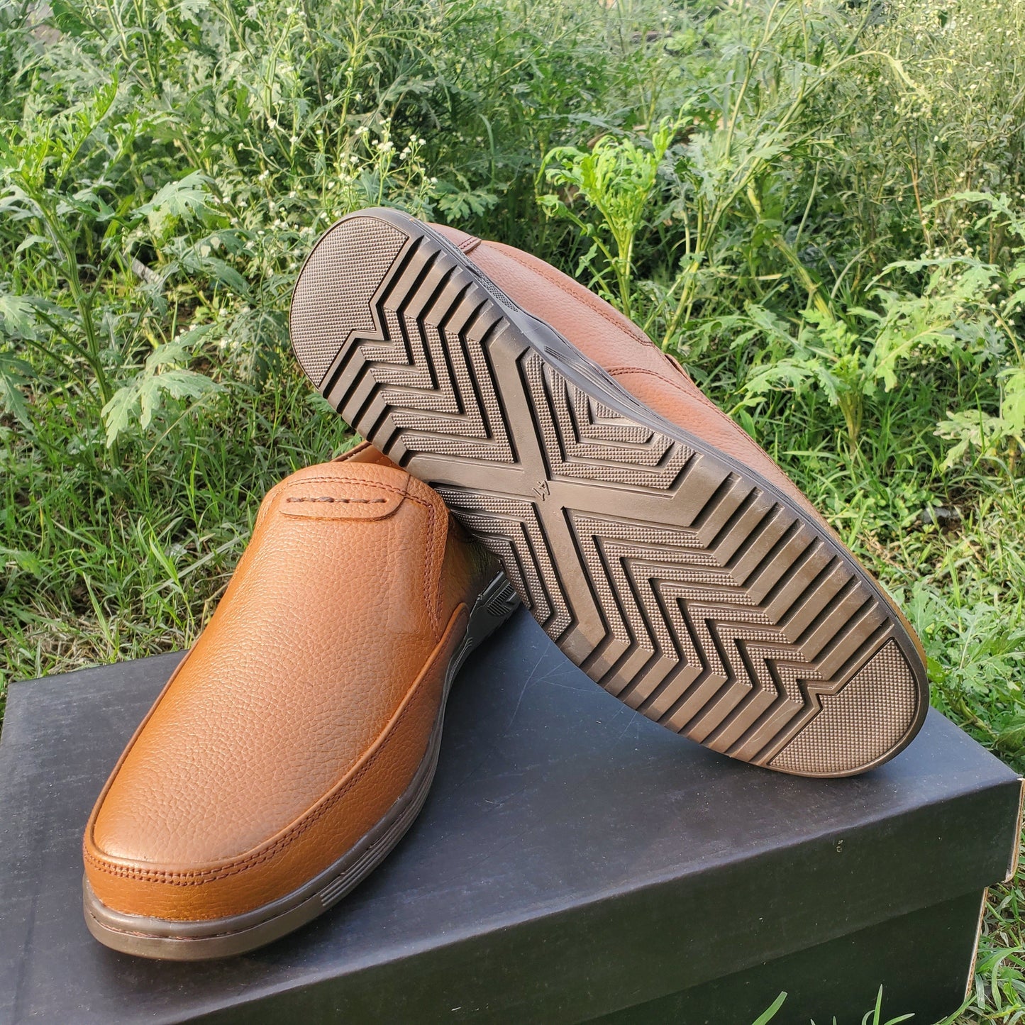 Cascade Mustard Light