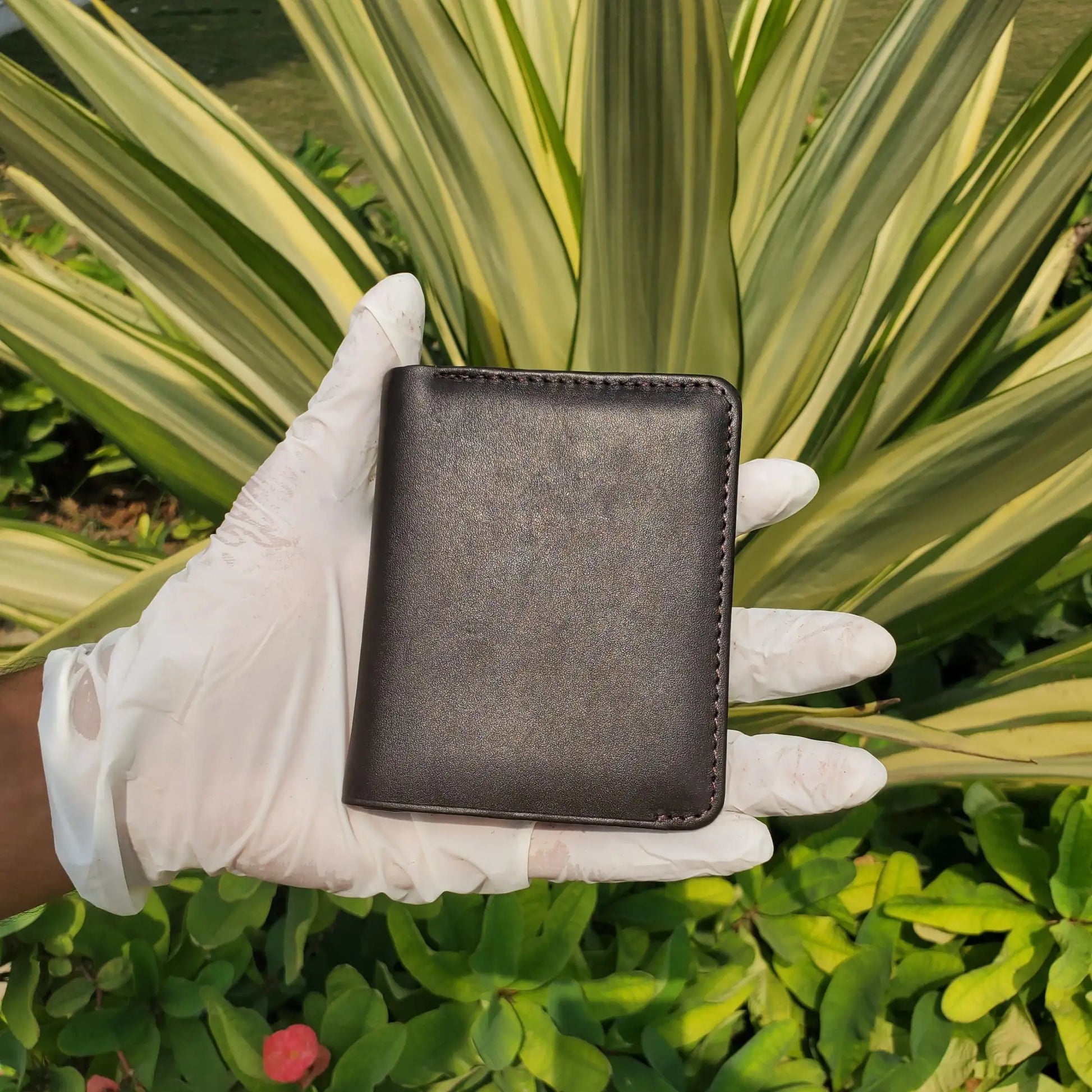 D-Brown product pic 1