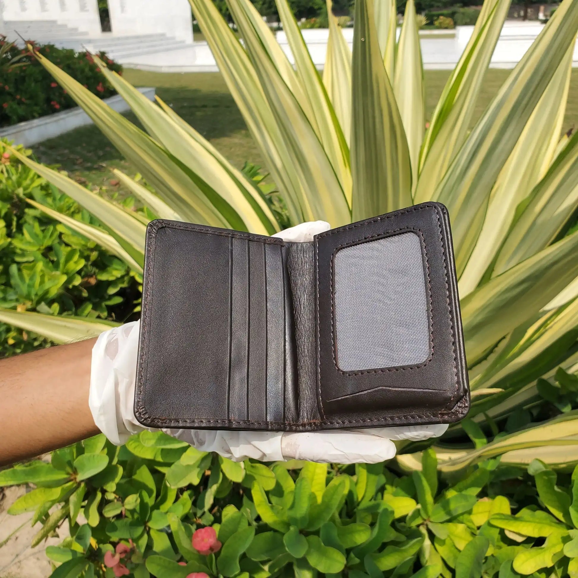 D-Brown product pic 2