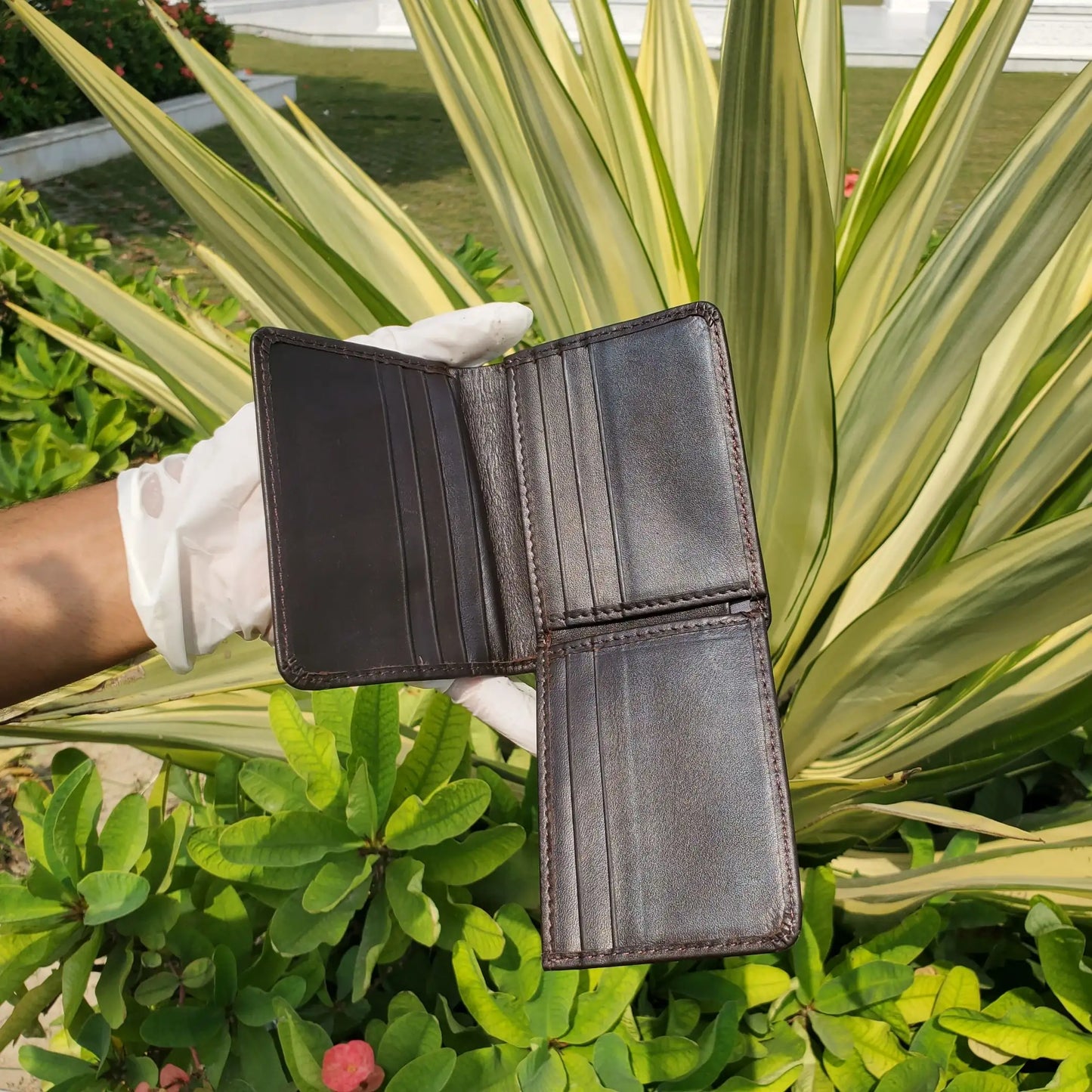 D-Brown product pic 3