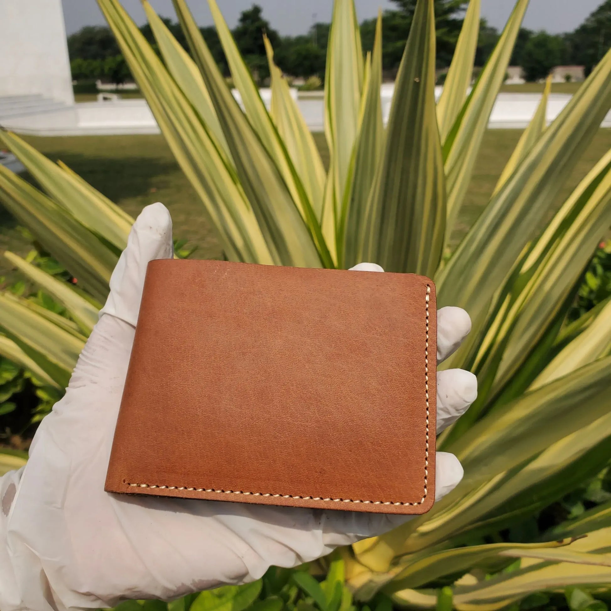 R.O Mustard product pic 3